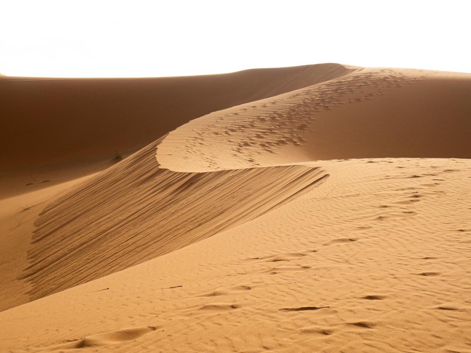 Maison Merzouga Guest House Bagian luar foto